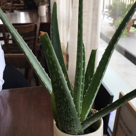 Meet your Posher, Theresa - Picture 1 of 1